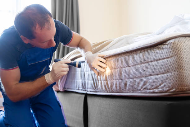 Best Bed Bug Extermination  in York, AL